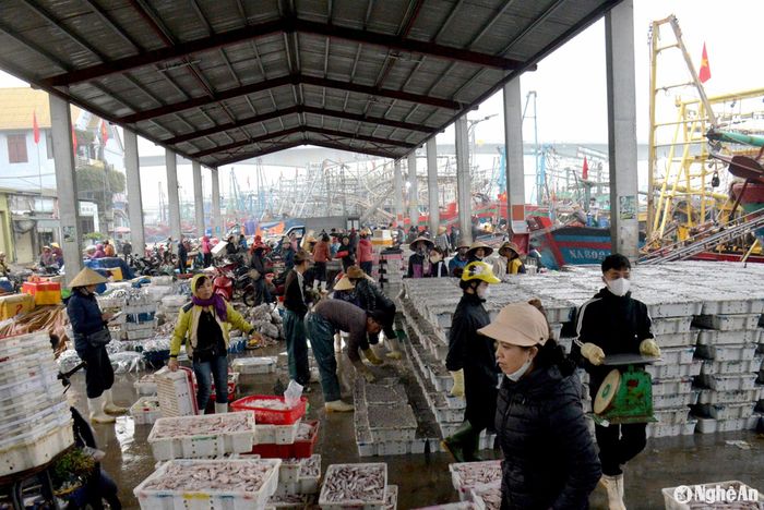 Bà con ngư dân cho biết, những ngày vừa qua biển lặng sóng, nên việc đánh bắt thuận lợi, hầu hết tàu nào cũng mang về nhiều hải sản. Ảnh: Xuân Hoàng