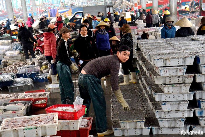 Chuyến biển này bà con phấn khởi vì tàu vừa cập bến, thương lái từ khắp nơi đã đợi sẵn, nhận hàng đưa đi tiêu thụ sớm. Đây là động lực đối với ngư dân tiếp tục vươn khơi bám biển ngay sau khi vui Tết Nguyên đán xong. Ảnh: Xuân Hoàng