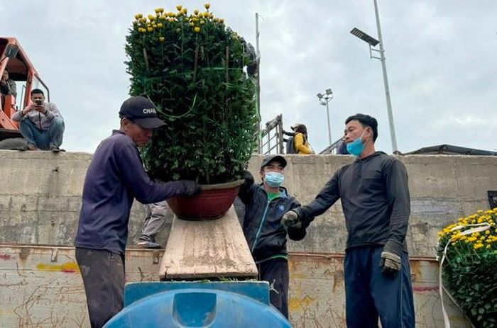 Đưa hoa xuống tàu chở ra đảo Lý Sơn