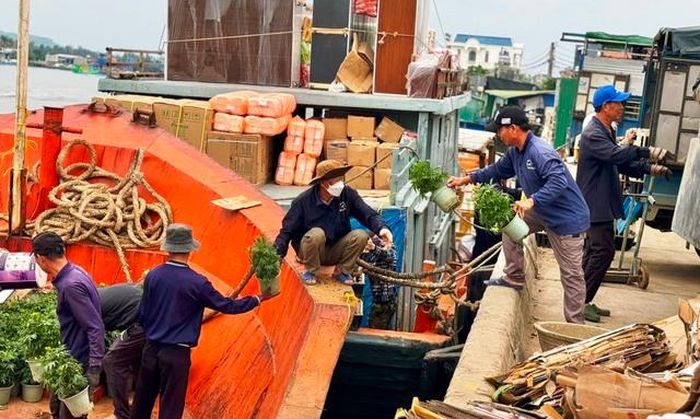 Trung bình mỗi ngày có 6-12 chuyến tàu chở hàng hóa ra đảo Lý Sơn