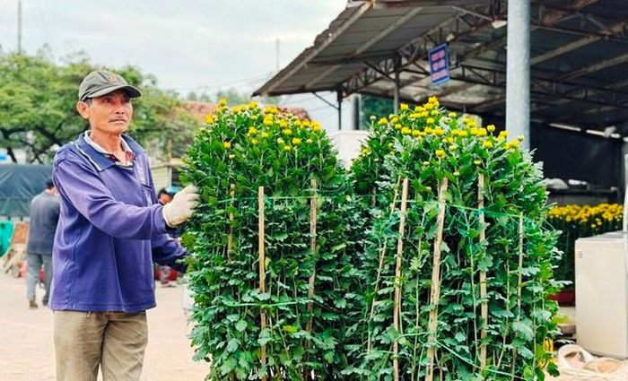 Hoa Tết được tập kết tại bến cảng chuẩn bị chở ra Lý Sơn
