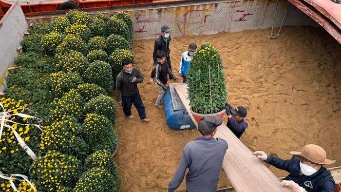 Hoa Tết được đưa xuống tàu chở ra Lý Sơn