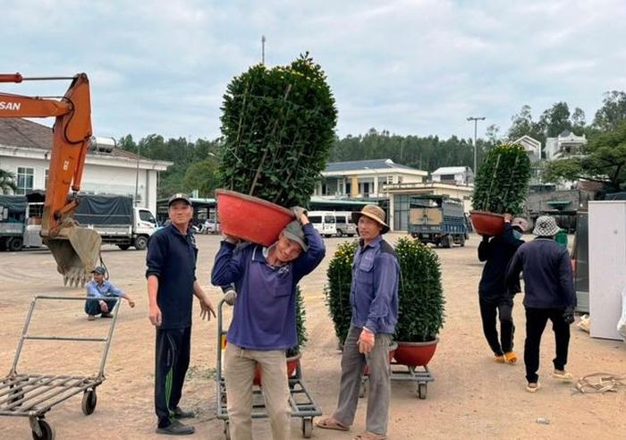 Các công nhân bốc vác hoa Tết xuống tàu