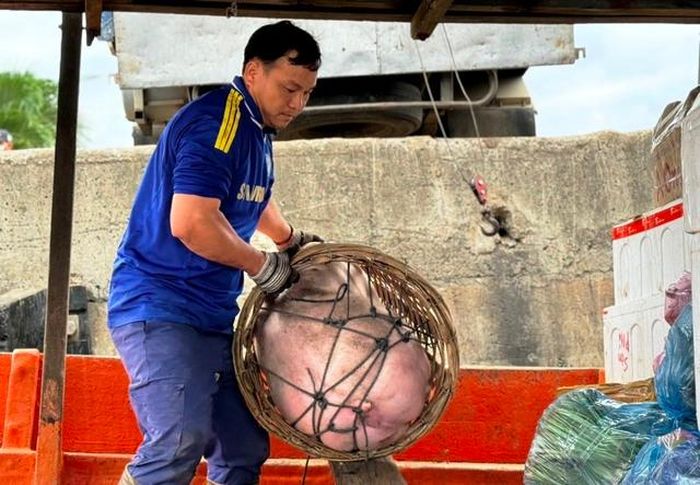 Tàu chở hàng hoạt động hết công suất