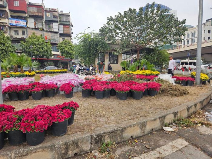 Việc thay điểm đen về rác thành vườn hoa đầy màu sắc được nhiều người ủng hộ.