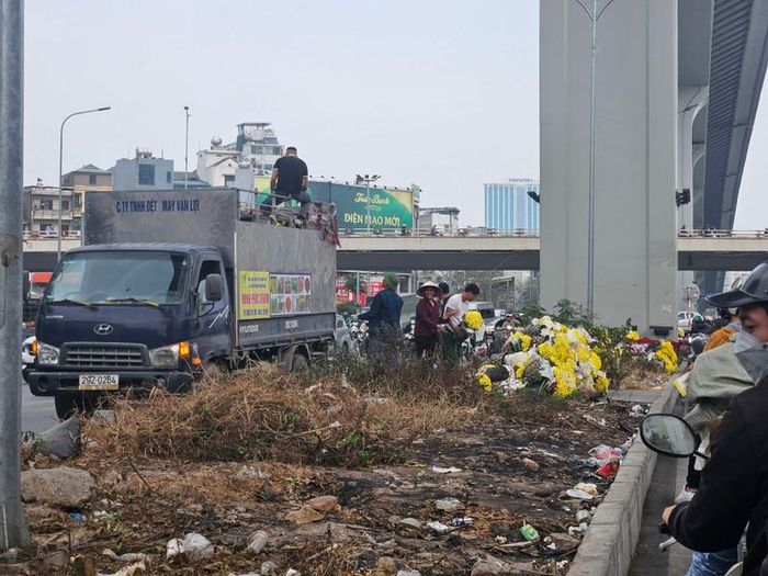 Để khắc phục tình trạng này, Công ty Cây xanh Hà Nội đã triển khai trồng hoa tại dải phân cách khu vực này.