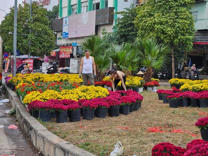 Công nhân sắp xếp các chậu hoa tại khu vực dải phân cách theo hình thù được thiết kế trước.