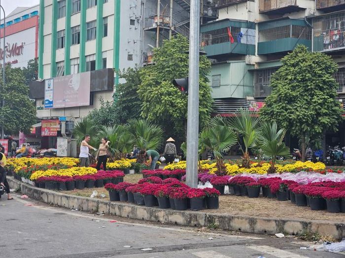 Góc đường Giải Phóng - Trường Chinh dần hình thành một vườn hoa.