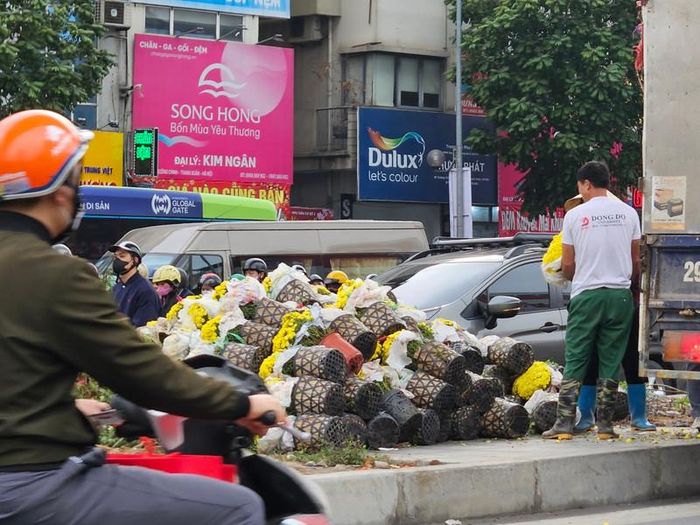 Hàng nghìn chậu hoa cảnh với đầy đủ màu sắc được công nhân thi công tại nút giao Giải Phóng - Trường Chinh trong những ngày qua.