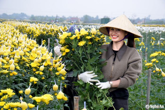 Khách hàng thích thú khi được đến tận vườn tận hưởng sắc đẹp của những vườn hoa cúc khoe sắc và chọn cho mình những bông hoa tươi đẹp nhất. Ảnh: Xuân Hoàng