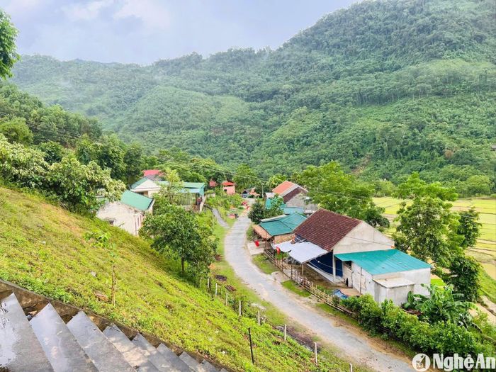 Một góc bản Tùng Hương xã Tam Quang, huyện Tương Dương. Ảnh: Khánh Ly
