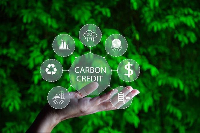 Thí điểm Sàn giao dịch carbon từ tháng 6/2025.