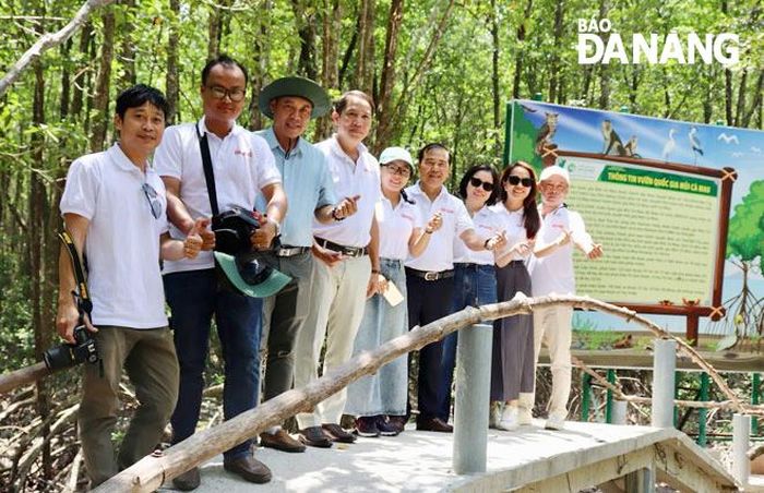 Đoàn Báo Đà Nẵng thăm rừng đước Đất Mũi. Ảnh: PV