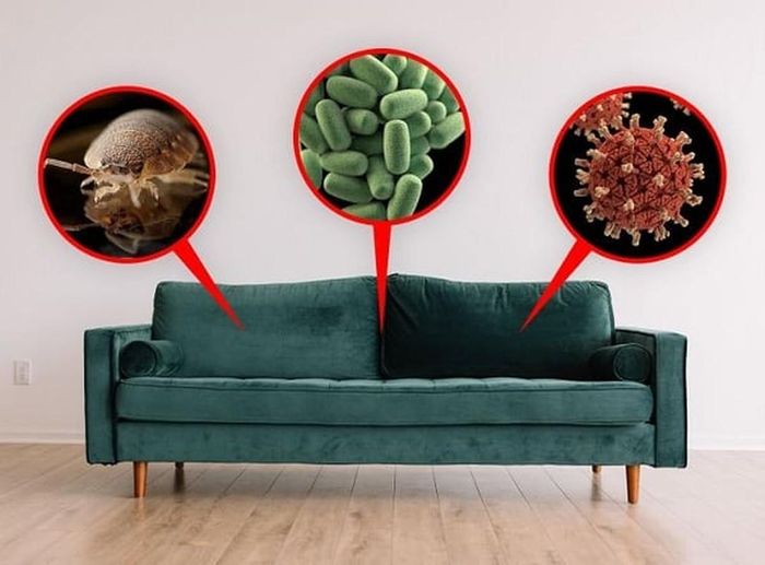  Một số mẹo vệ sinh ghế sofa đúng cách: Nên thường xuyên hút bụi và xử lý các vết bẩn mới bám càng sớm càng tốt. Sử dụng khăn giấy hoặc khăn lau để thấm những vết ướt, tránh để sofa bị ẩm và cọ xát mạnh. Nếu các vết bẩn đã cũ hoặc quá nghiêm trọng thì nên tìm đến các dịch vụ giặt ghế sofa chuyên nghiệp để xử lý nhằm đảm bảo chất lượng của ghế sofa.