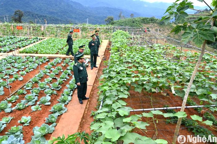 Lãnh đạo Bộ Chỉ huy BĐBP Nghệ An kiểm tra vườn tăng gia sản xuất của Đồn Biên phòng Nậm Càn. Ảnh: Hải Thượng