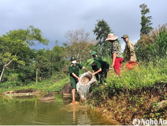 Cán bộ Đồn Biên phòng Nậm Càn (Kỳ Sơn) giúp gia đình ông Và Chứ Rùa bản Nậm Càn canh tác trồng lúa nước. Ảnh: G.H