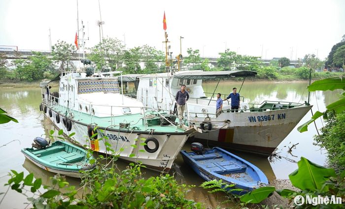 2 tàu kiểm ngư và 2 chiếc xuồng cao tốc trong thời gian nằm bờ (ảnh chụp tháng 4/2024). Ảnh: Thành Cường