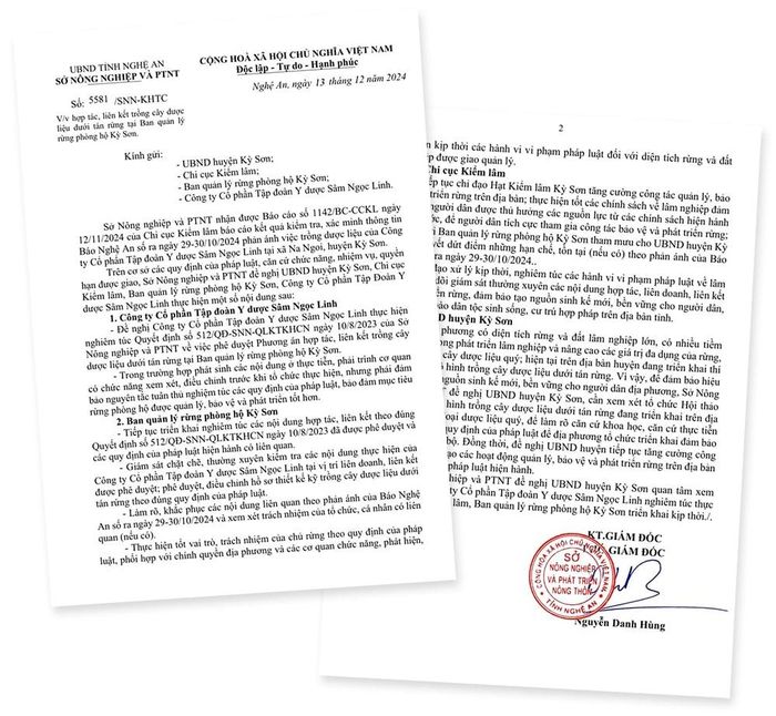 Công văn số 5581/SNN-KHTC ngày 13/12/2024 của Sở Nông nghiệp và Phát triển nông thôn về việc hợp tác, liên kết trồng cây dược liệu dưới tán rừng tại Ban Quản lý rừng phòng hộ Kỳ Sơn.