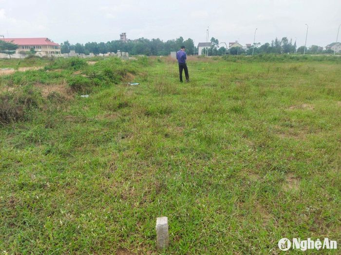 Vị trí giao đất tái định cư trong phạm vi quy hoạch đường 21, thuộc phường Nghi Hòa, thị xã Cửa Lò. Ảnh: Nhật Lân