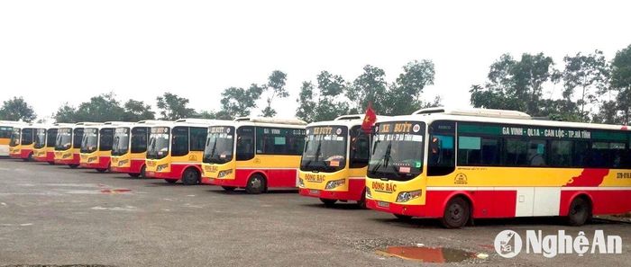Xe buýt ở địa bàn thành phố Vinh sẵn sàng phục vụ hành khách dịp Tết. Ảnh: Văn Trường