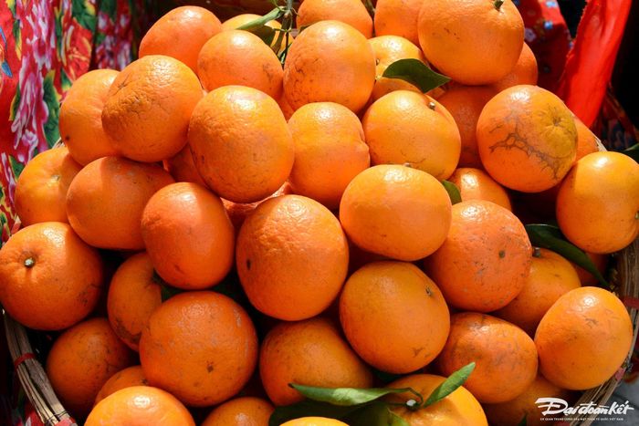 Cam Vạn Yên (Vân Đồn) là đặc sản được. nhiiều người dân ưa chuộng.