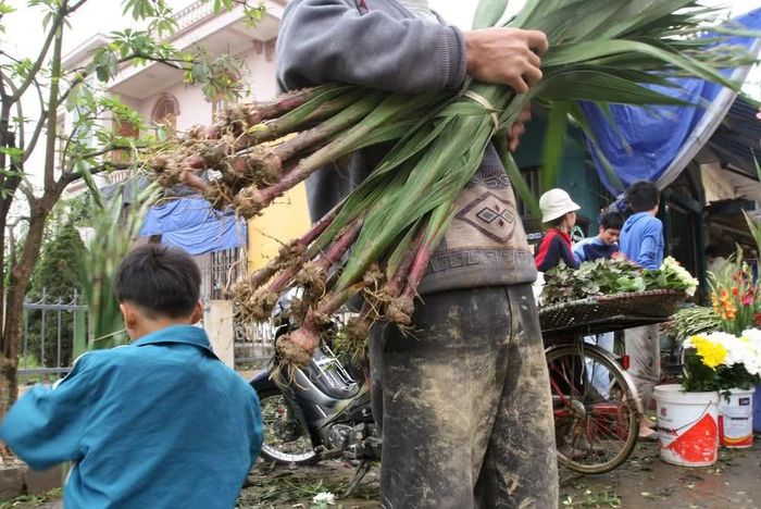 Bán cái đẹp cho đời, người trồng hoa giữ cái xấu lại cho mình