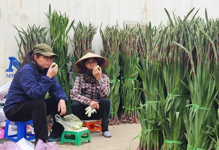 Chiều 16 tháng Chạp, cả container lay ơn đã dỡ hàng ra bán