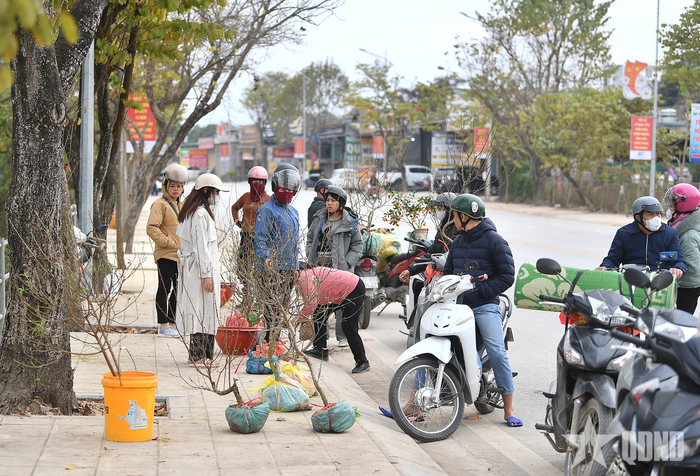 Cũng có một số người đi chợ Tết muộn để mua được những món đồ hợp với túi tiền. 