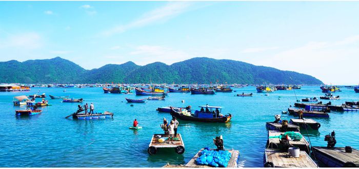  Cư dân làng biển Vũng Rô đang ngày càng đông đúc, nhiều nghề biển mới phát triển trong đó nghề nuôi tôm hùm xuất khẩu khiến nhiều người thành tỷ phú. 
