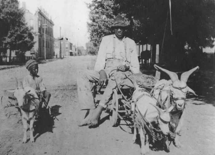 4. John “Bud” Rogan: Với chiều cao 2,66 mét, John “Bud” Rogan là người cao thứ hai từ trước tới nay, và là người Mỹ da màu cao nhất thế giới. Ông sinh năm 1867 tại Hendersonville, Tennessee (Mỹ).