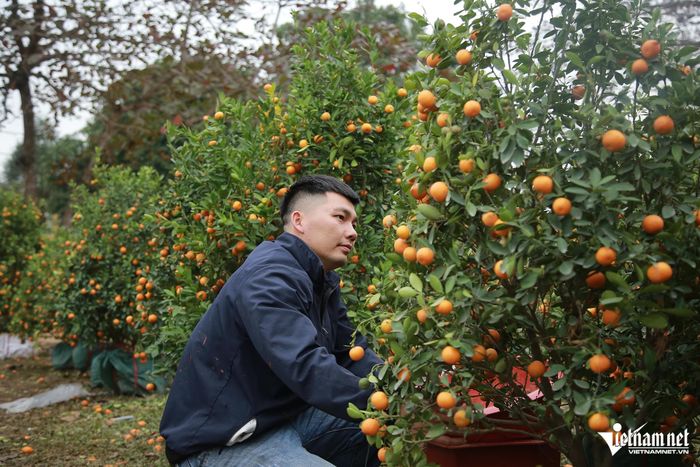 Anh Nguyễn Văn Thao cho rằng năm nay người bán cây cảnh lỗ nặng. Ảnh: T.L