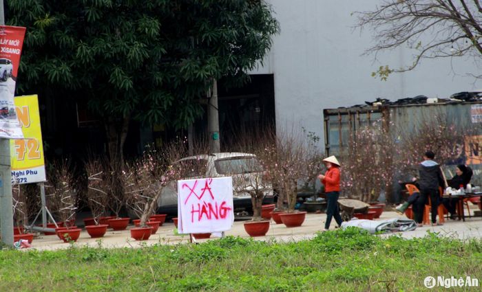 Mặc dù giá thành đã chạm đáy, tuy nhiên, nhiều điểm kinh doanh vẫn vắng bóng người mua. Ảnh: Q.A