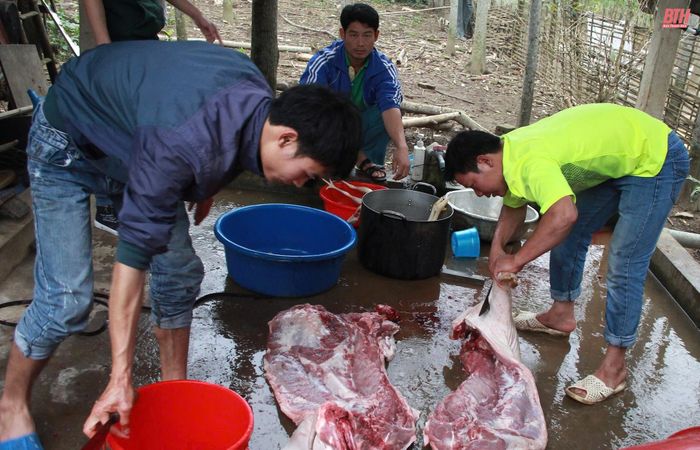 Gia chủ mổ lợn làm cỗ cúng và mời anh em trong dòng họ cùng gia đình ăn tết.