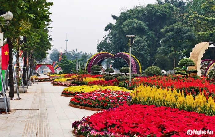Đường hoa rực rỡ đã sẵn sàng để người dân đến check-in vào những ngày Tết. Ảnh: Diệp Thanh