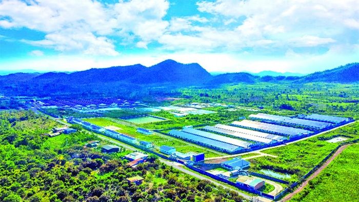 Trang trại chăn nuôi công nghệ cao tại Đắk Lắk