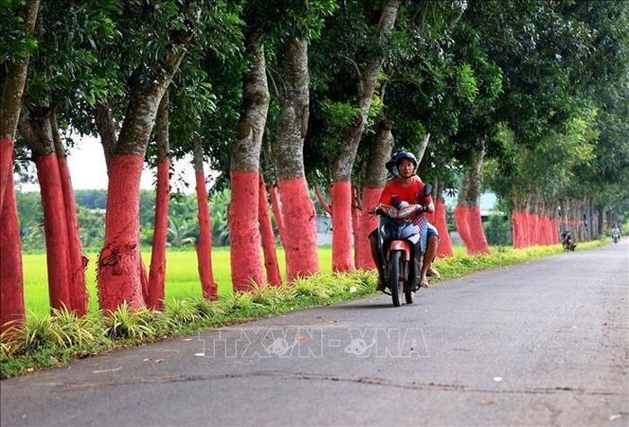 Xã Lang Minh (huyện Xuân Lộc), tỉnh Đồng Nai có đường giao thông khang trang, sạch đẹp. Ảnh: Hồng Đạt - TTXVN