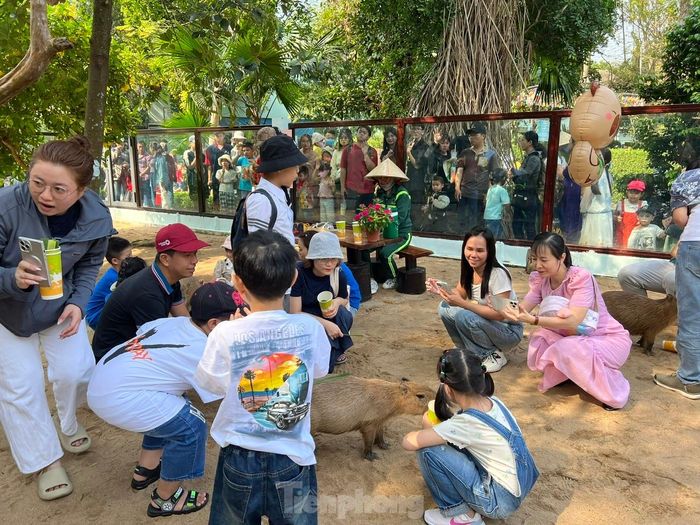 Rất nhiều du khách đứng bên ngoài chờ đợi để được vào chơi cùng capybara, nhiều người chờ từ sáng đến buổi chiều mới đến lượt.