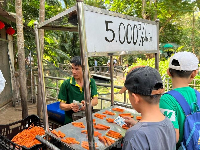 Nhân viên Thảo Cầm Viên Sài Gòn chuẩn bị sẵn đồ ăn như cà rốt, mía, cỏ... để du khách mua cho thú ăn, mỗi phần có giá chỉ 5.000 đồng.