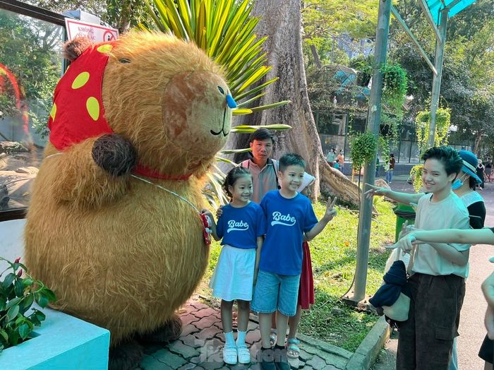 Khu vực hút khách nhiều nhất hiện nay là chuồng nuôi capybara (chuột lang nước). Gia đình capybara gồm Phú, Quý, Cát, Tường vừa ra mắt tại Thảo Cầm Viên Sài Gòn. Bốn chú chuột lang nước mới tròn 6 tháng tuổi, nặng 15 kg, được chuyển về Thảo Cầm Viên thời gian gần đây. Trong khi chờ đợi vào chơi cùng capybara, nhiều bạn nhỏ tranh thủ chụp ảnh cùng chú chuột lang nước do người đóng giả.