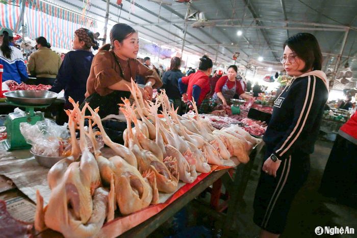 Thực phẩm tươi sống dồi dào. Ảnh: T.P