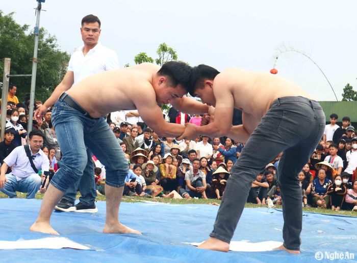 Để hội vật diễn ra tốt đẹp, các địa phương đã chuẩn bị khá chu đáo, từ việc tuyên truyền, quảng bá, đến việc sửa sang sân bãi, lựa chọn trọng tài, giải thưởng... Những ngày đầu Xuân Ất Tỵ thời tiết đẹp, thuận lợi cho các địa phương tổ chức đấu vật. Ảnh: Huy Thư