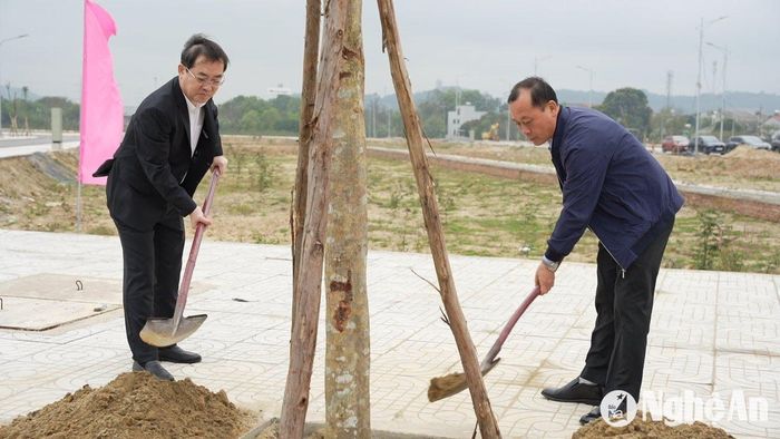 Bí thư Thành ủy Phan Đức Đồng trồng cây đầu Xuân năm mới Ất Tỵ. Ảnh: Hồng Quang