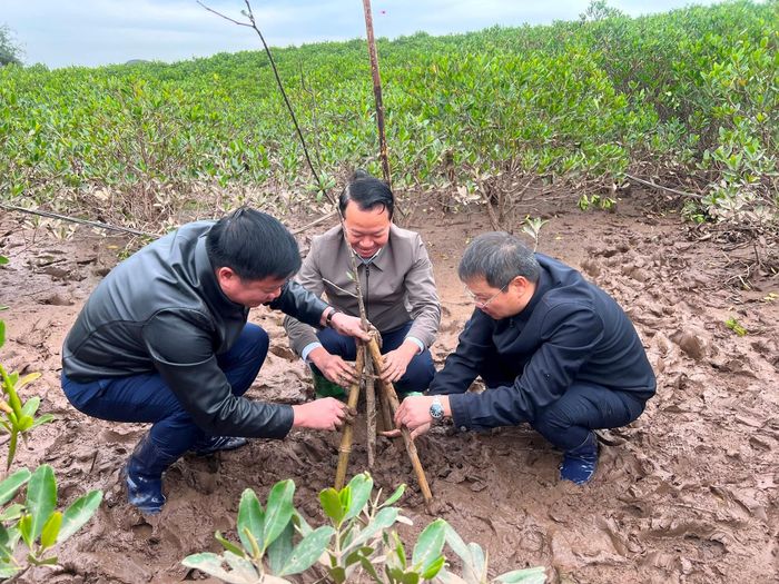 Bộ trưởng Đỗ Đức Duy trồng cây cùng Lãnh đạo tỉnh Thái Bình 