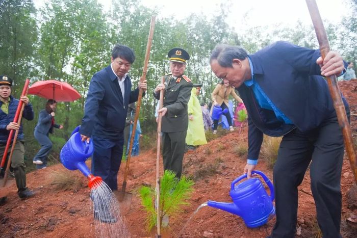 Bí thư Tỉnh ủy Quảng Nam Lương Nguyễn Minh Triết trồng cây tại lễ phát động Tết trồng cây tỉnh Quảng Nam sáng 4/2 (Ảnh: Nguyễn Trà)