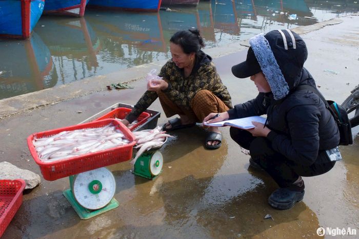 Cá cháo vừa đưa vào bờ tươi rói, đã được các thương lái đón mua. Ảnh: T.P