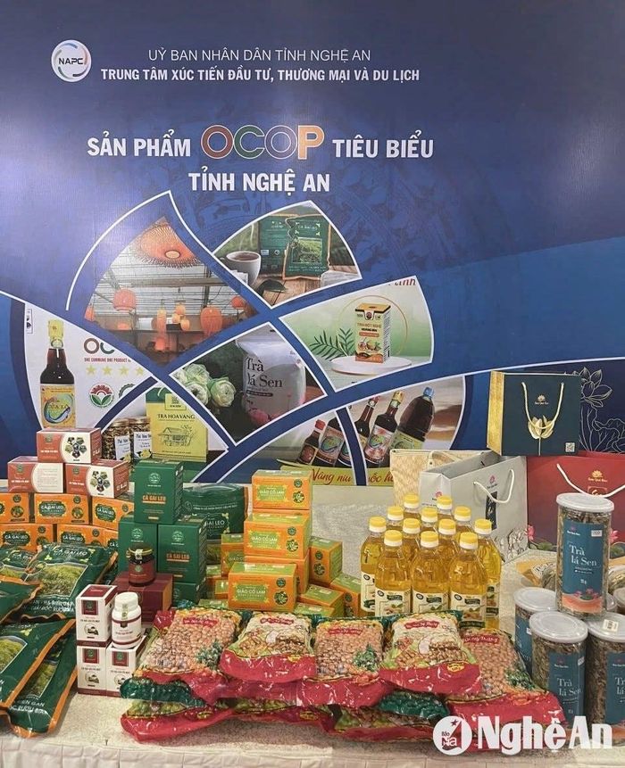 Lạc sen Sỹ Thắng có mặt ở các gian hàng đặc sản của Nghệ An tham dự các hội nghị. Ảnh: P.V