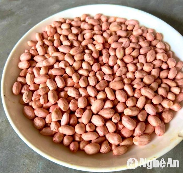 Lạc sen Diễn Châu được tuyển chọn kỹ lưỡng từng hạt. Ảnh: Trân Châu