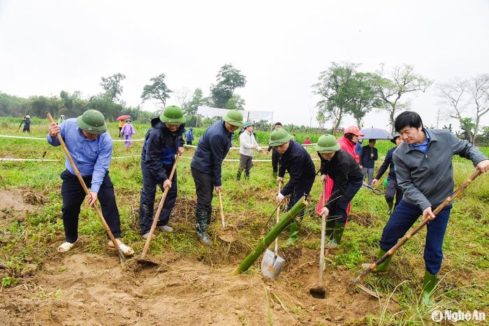Các đại biểu trồng tre chống sạt lở dọc bờ sông Lam. Ảnh: TL