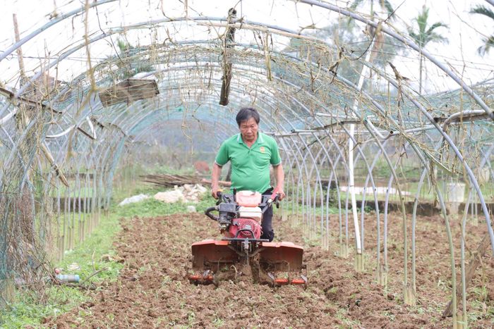 Nông dân sản xuất sau kỳ nghỉ Tết Ất Tỵ. Ảnh: TRẦN TRÚC