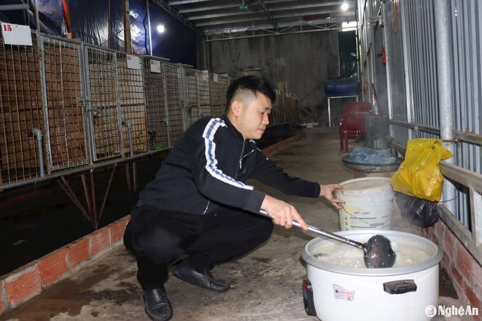 Khi chồn cái vào mua phối giống, anh Đồng tăng cường trứng vịt lộn vào cháo để cung cấp dinh dưỡng. Ảnh: Việt Hùng